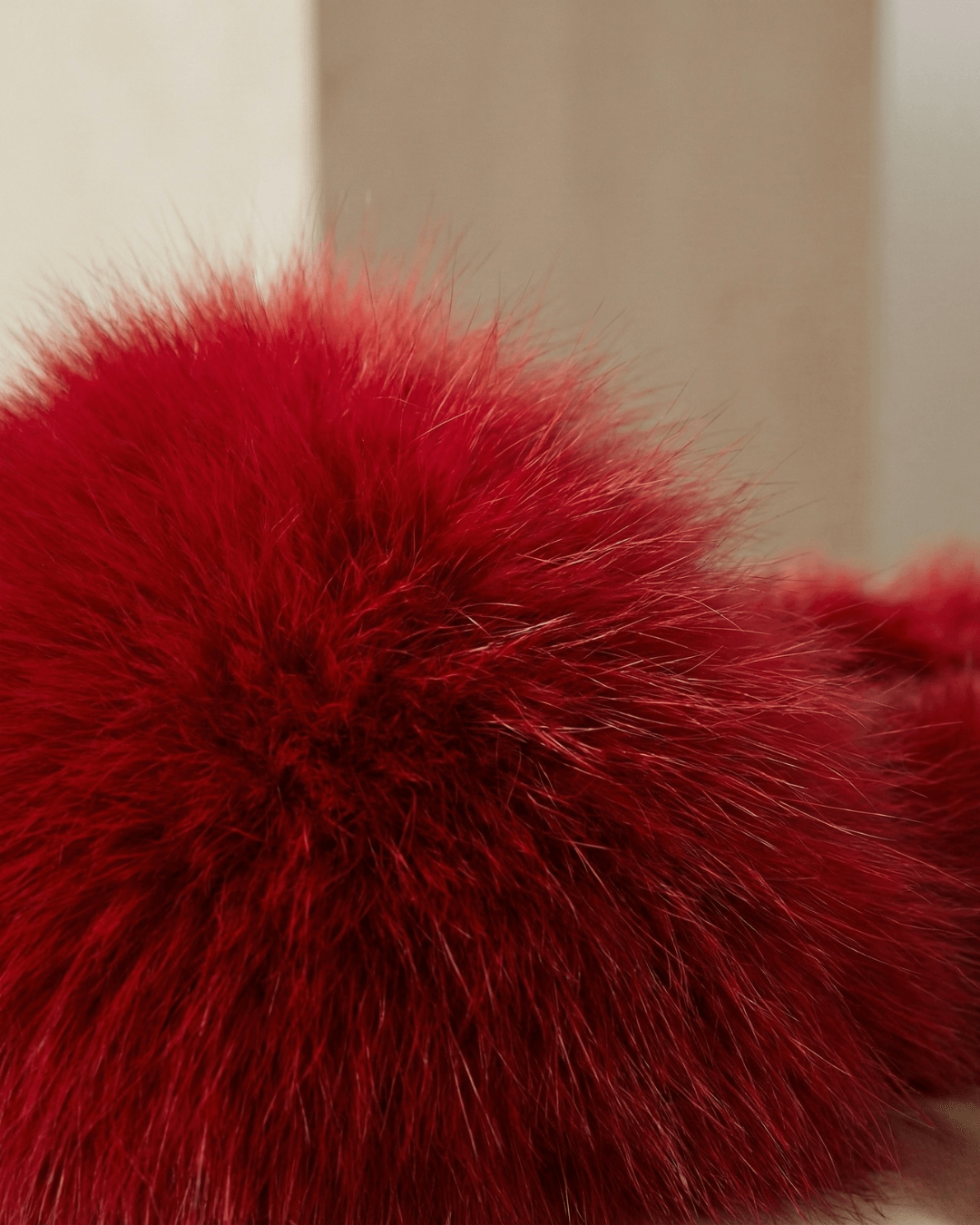 The Signature Teddy Slides